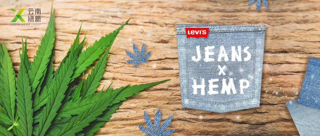 Hemp-made jeans agenda, can believe this?-Luxin
